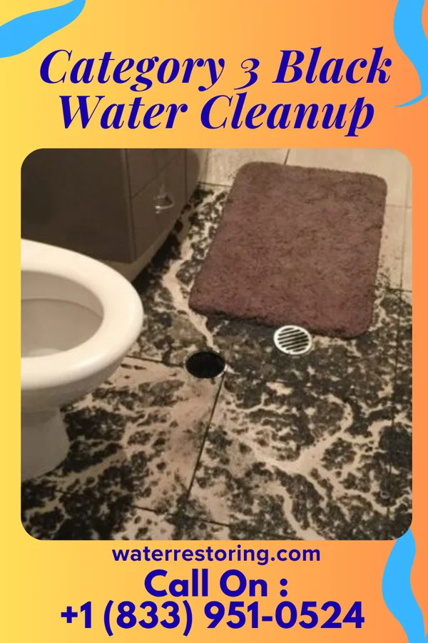 Category 3 Black Water Cleanup in St. Bernard, OH