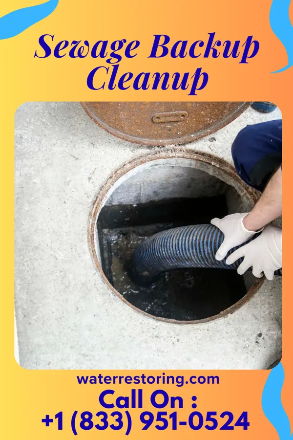 Sewage Backup Cleanup in St. Bernard, OH